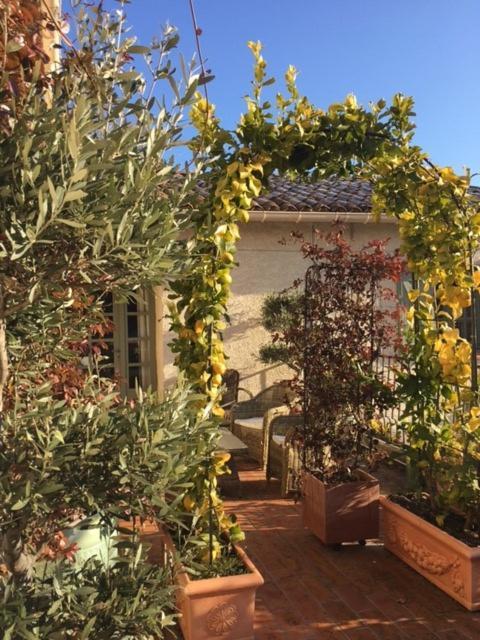 Domaine Le Bois Des Dames Bed & Breakfast Chantemerle-les-Grignan Exterior photo