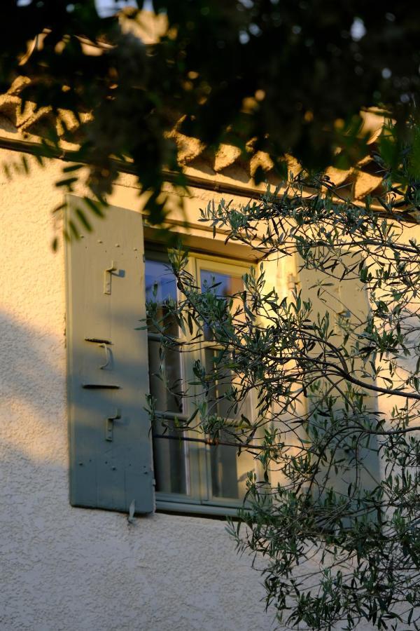 Domaine Le Bois Des Dames Bed & Breakfast Chantemerle-les-Grignan Exterior photo